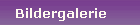 Bildergalerie