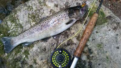 IMG-20151212-WA0000-400